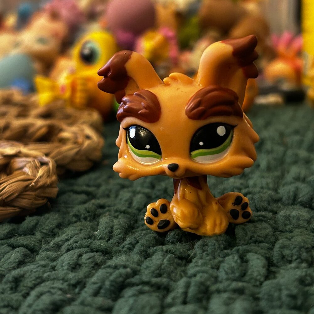 Littlest Pet Shop Yorkshire Terrier (Yorkie Dog) #1016